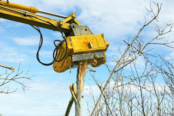 Seppi-M-Bagger-Forstmulcher-Bms-I-Boehrer-Baumaschinen-2